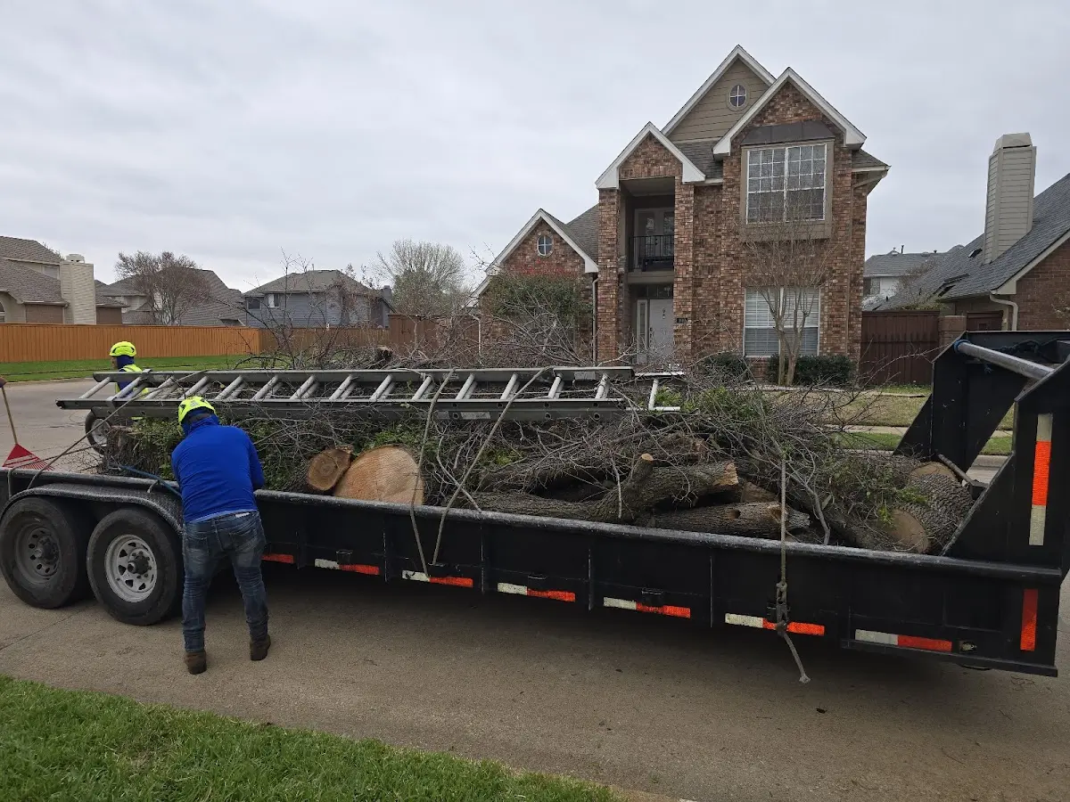 Expert Crown Reduction with proper safety equipment in Otterbein